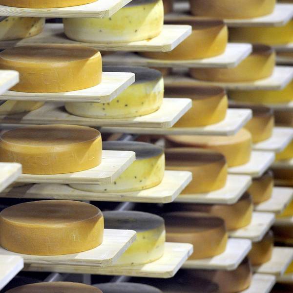 Käse dpa Symbolbild