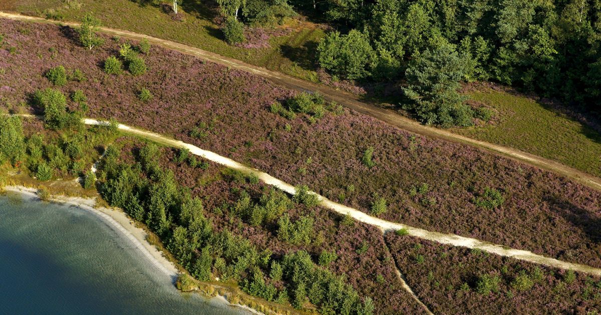 Grenzland Belgien Niederlande Zehn Ausflugsziele Im Umkreis Von 100 grenzland-belgien-niederlande-zehn-ausflugsziele-im-umkreis-von-100