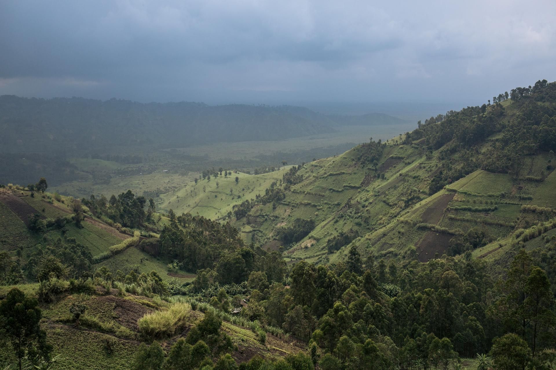 Kongo Nationalpark
