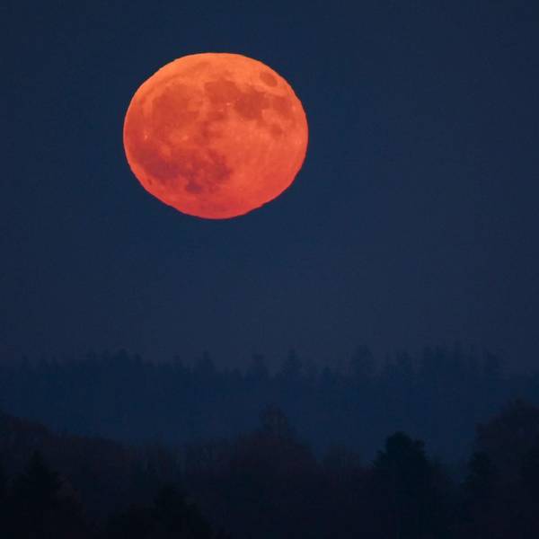 Mond