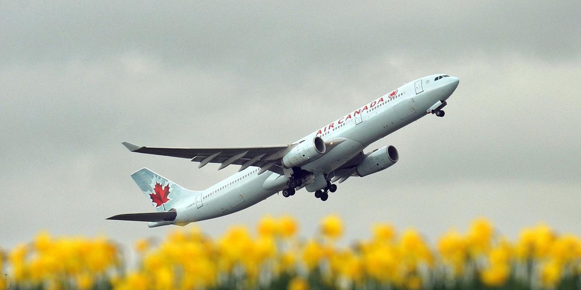 Air Canada afp neu