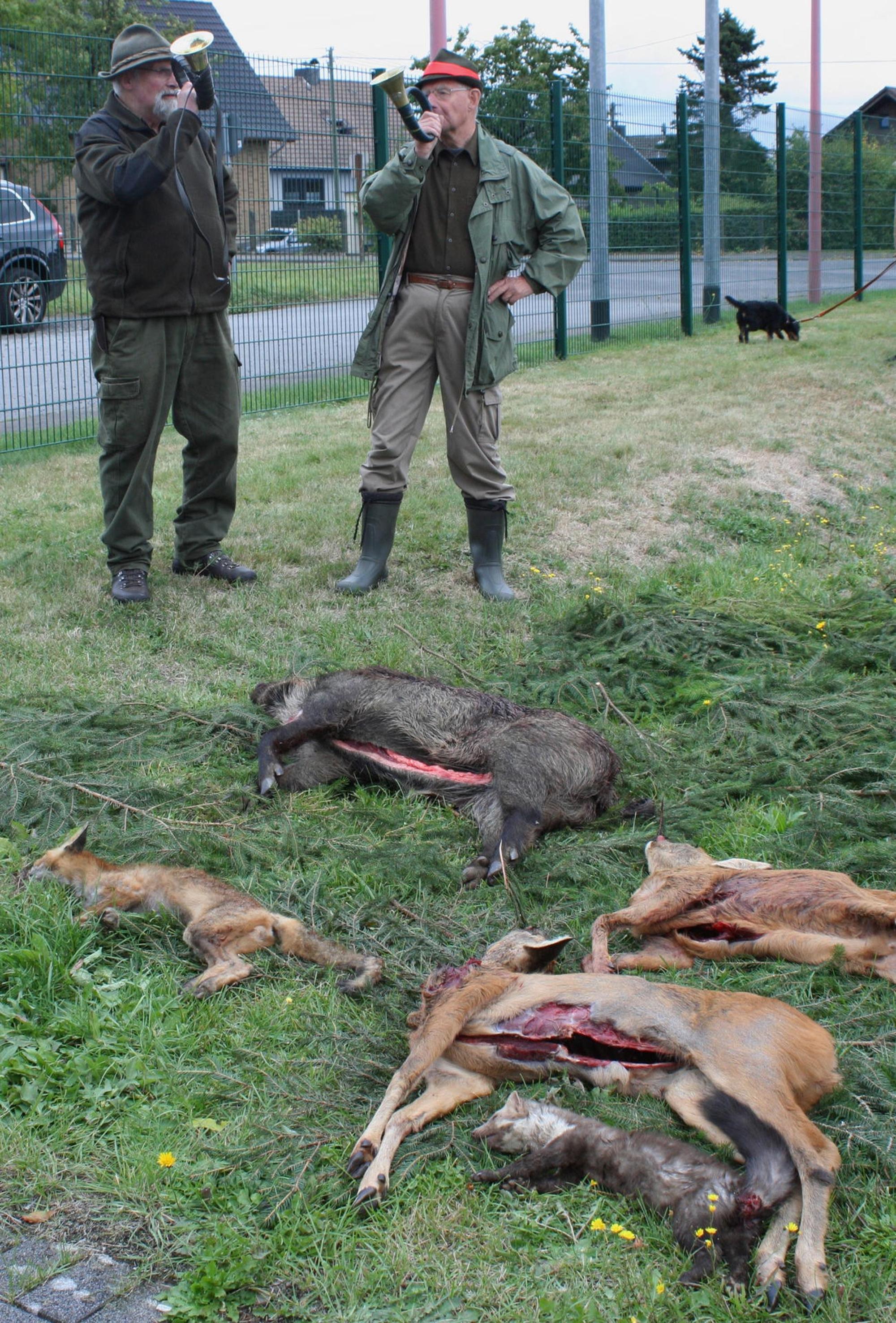 Wildschweinjagd2