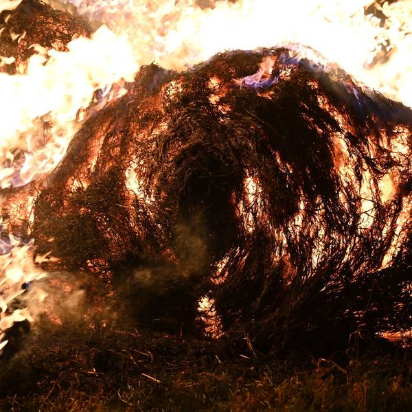20220113-Fre-Ela-Feuer-Stroh-Bachem-3