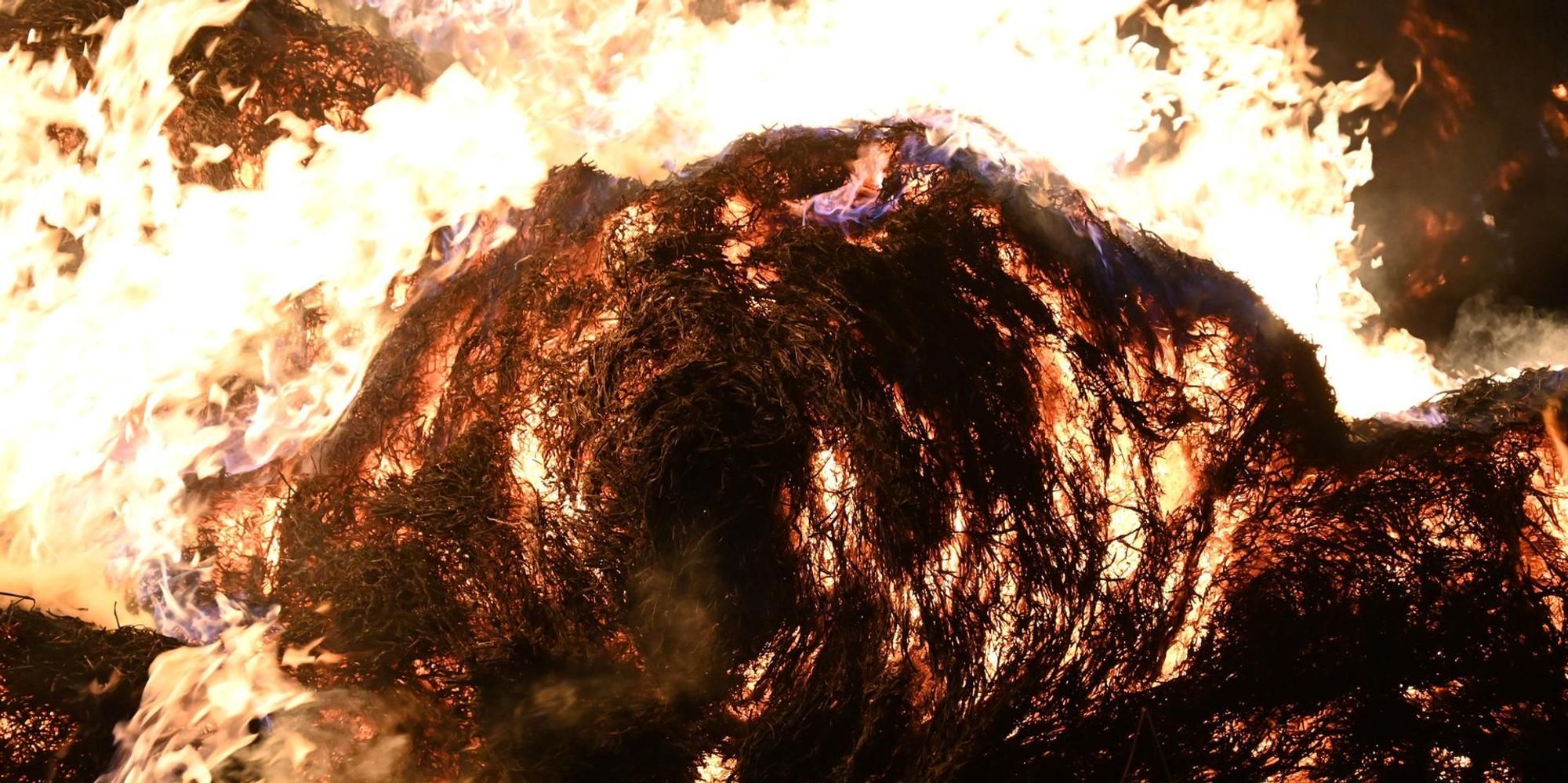 20220113-Fre-Ela-Feuer-Stroh-Bachem-3