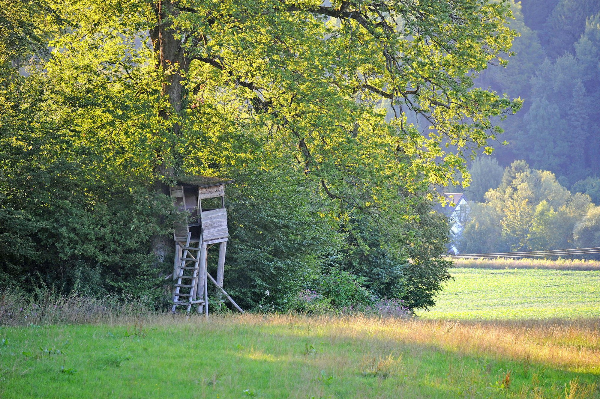wu-jaeger-hochstand_(1) (1)