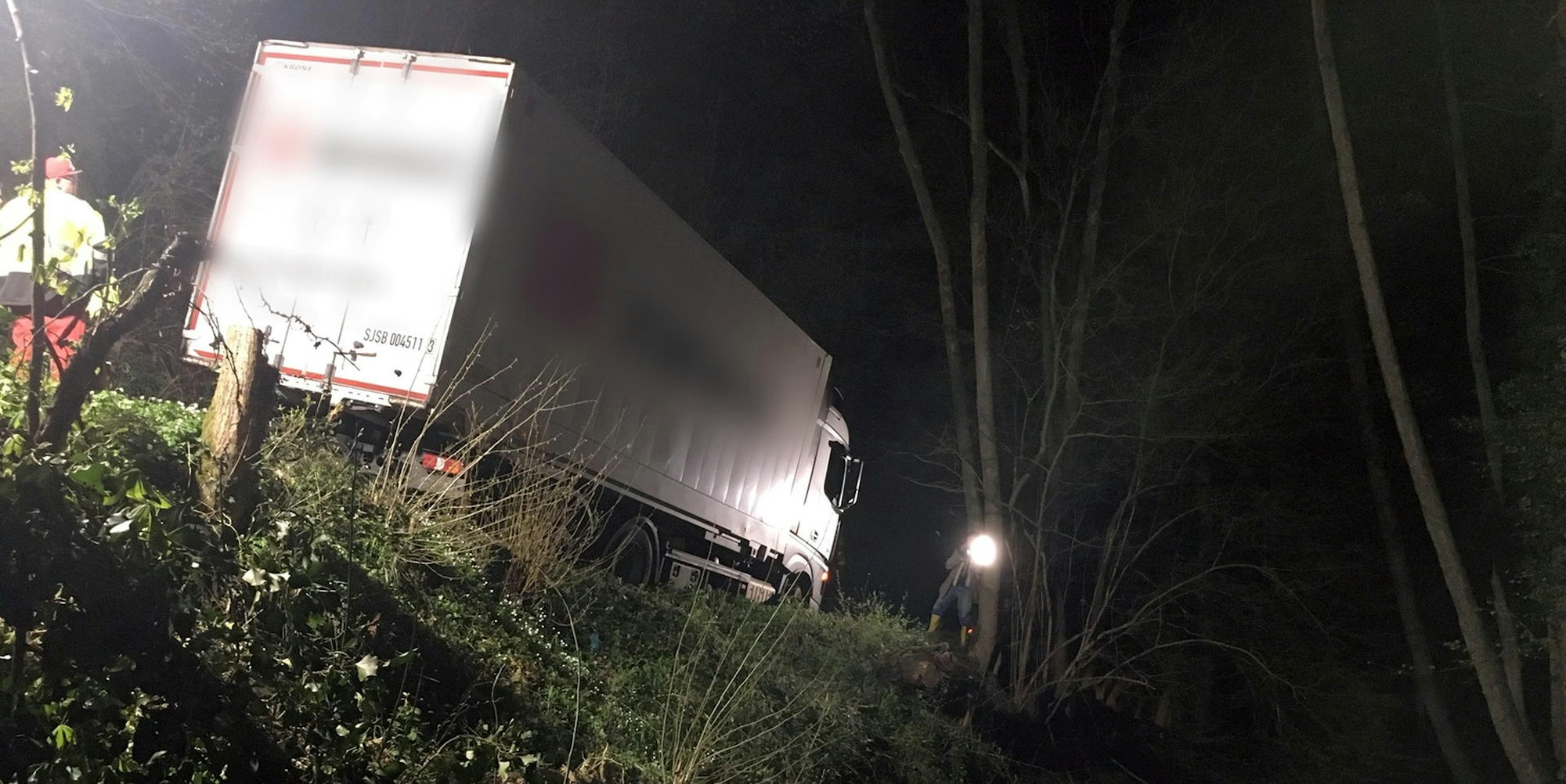 LAster im Wald 3 Siegburg ROHRMOSER