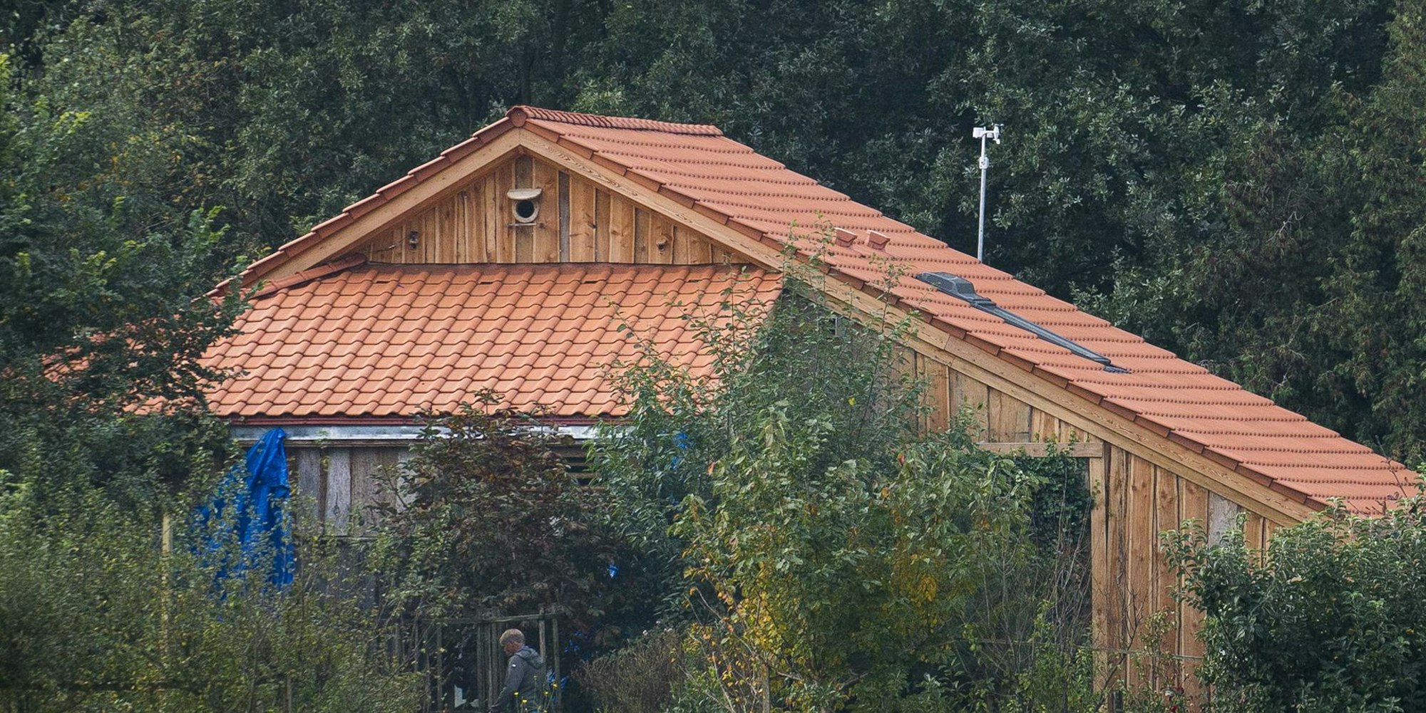 bauernhof_Niederlande