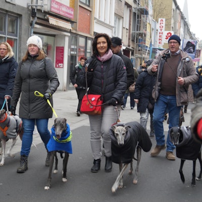 MDS-KSTA-2020-02-06-71-157665953