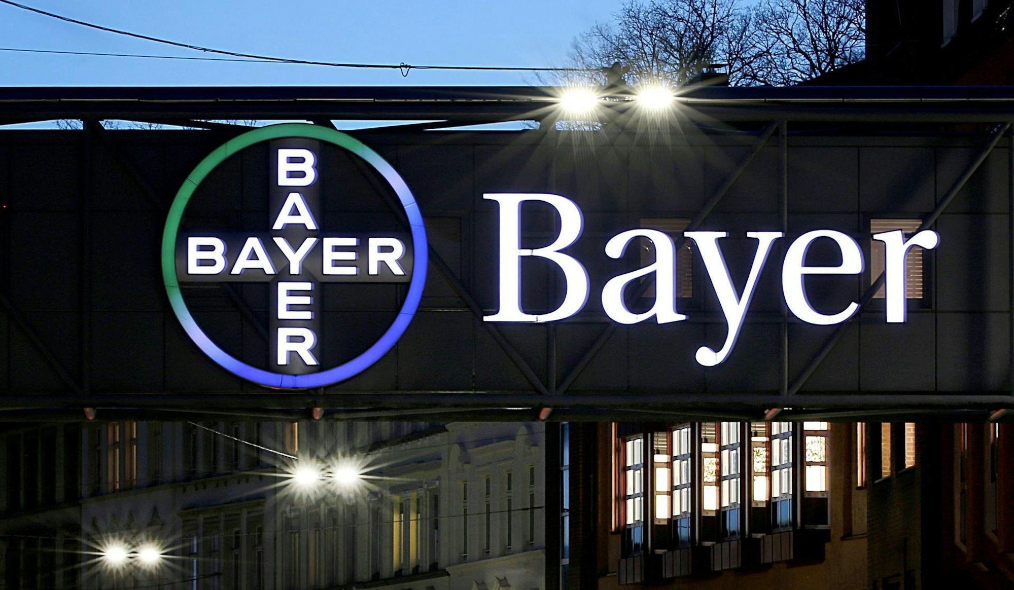 Bayer Logo
