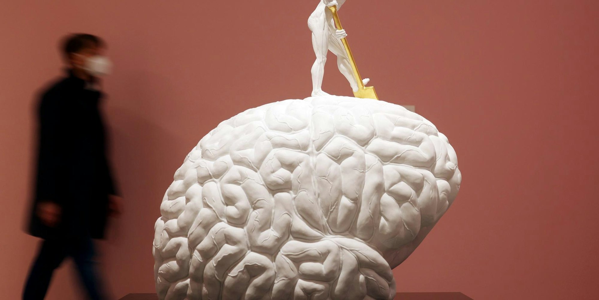 Das Gehirn Bundeskunsthalle 1