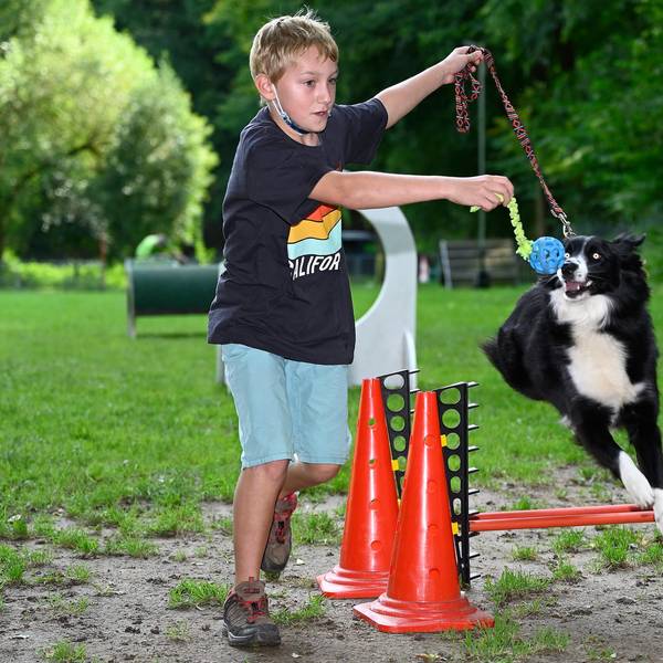Hundetraining Parcours 230821