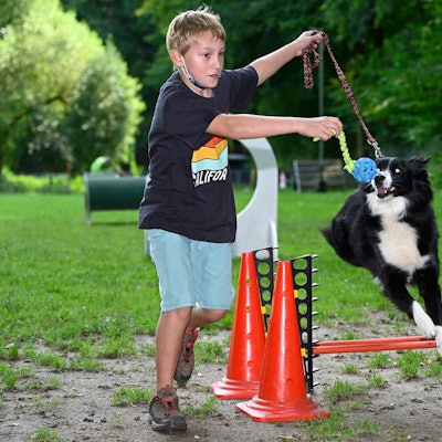 Hundetraining Parcours 230821