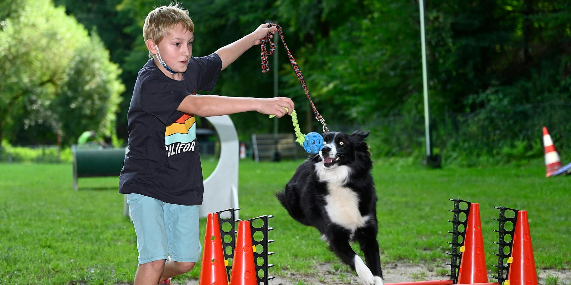 Hundetraining Parcours 230821