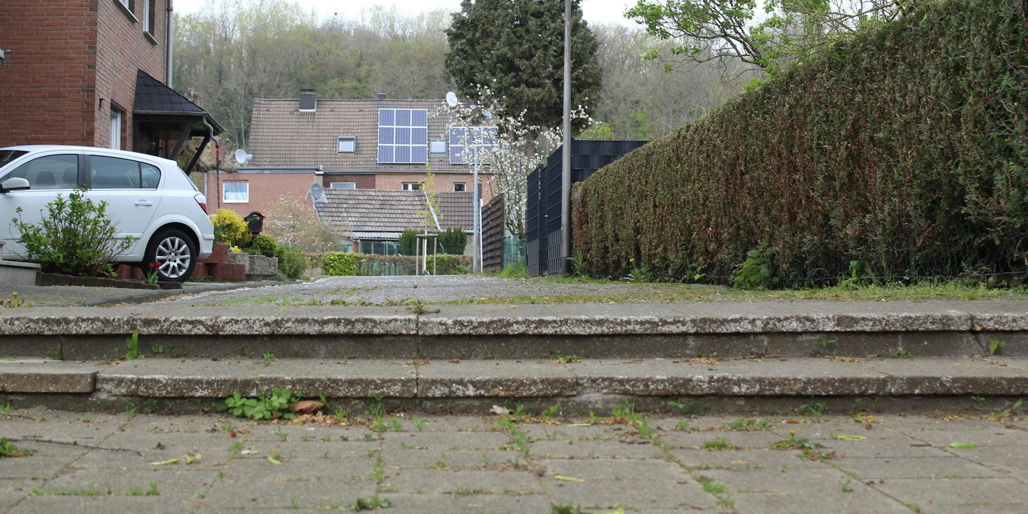 Bergheim_Feuerdornweg_(1)