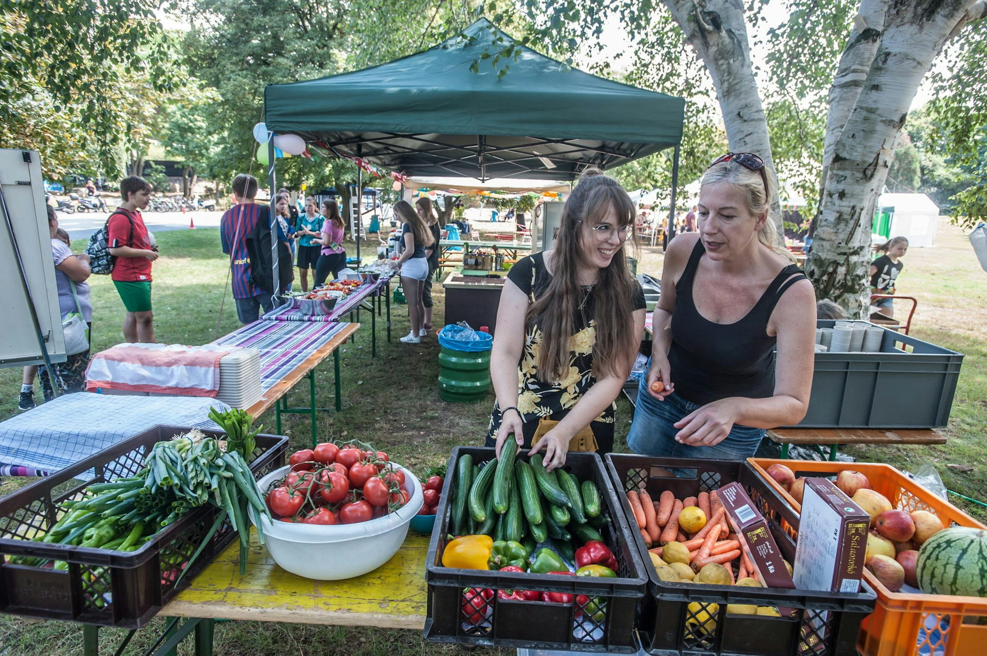 MDS-KSTA-2019-07-31-71-150444042