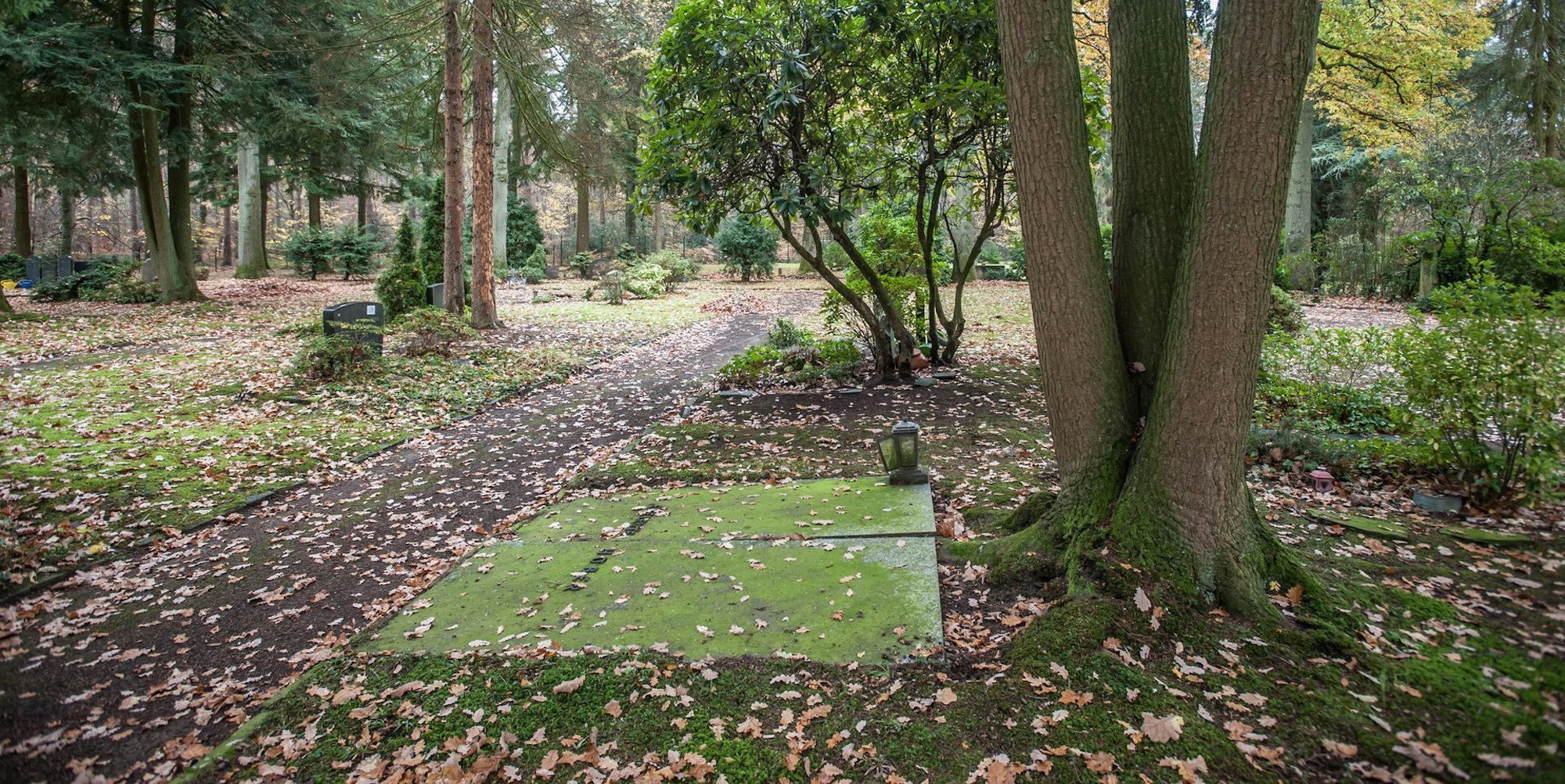 scherfenbrand_-leverkusen_ALF_2805