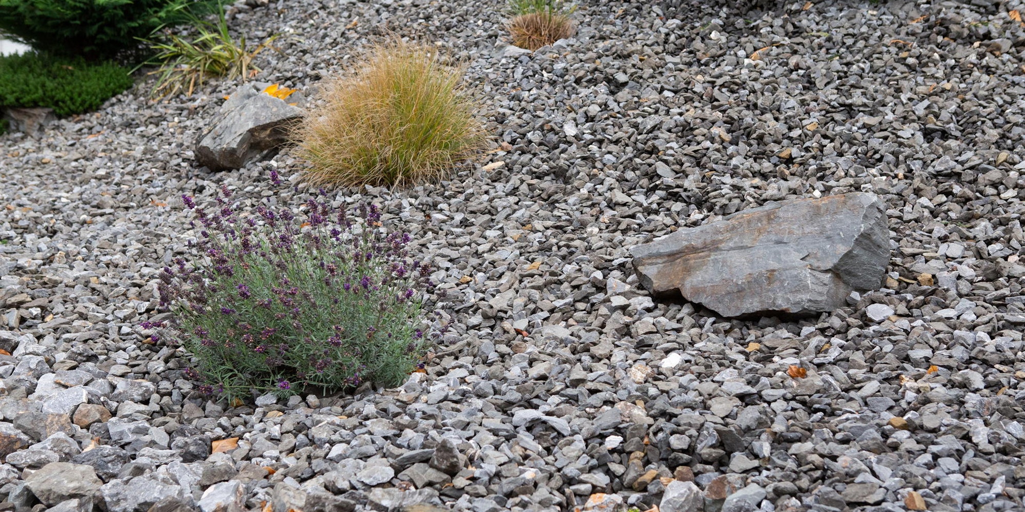 Schottergarten