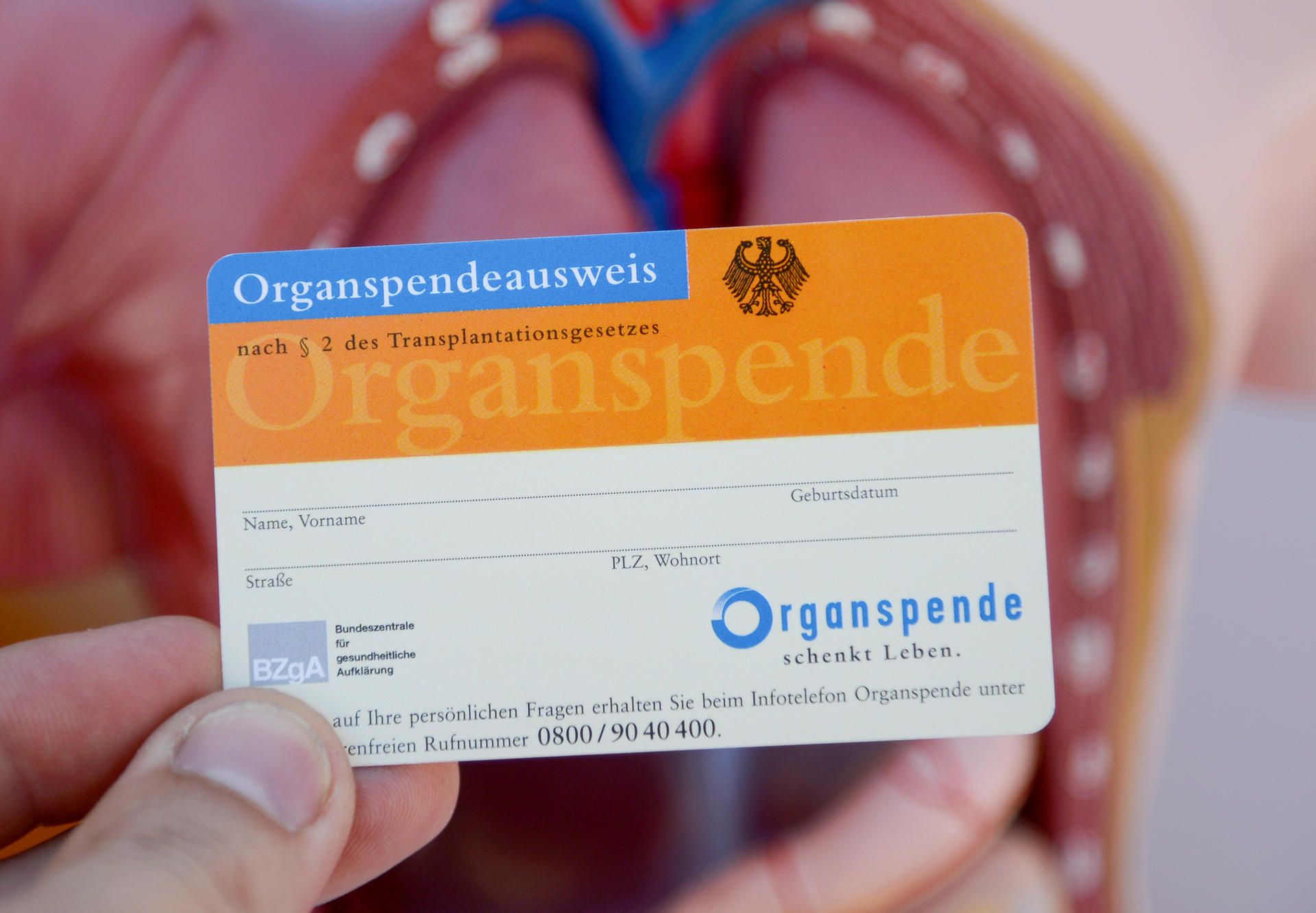 Organspendeausweis