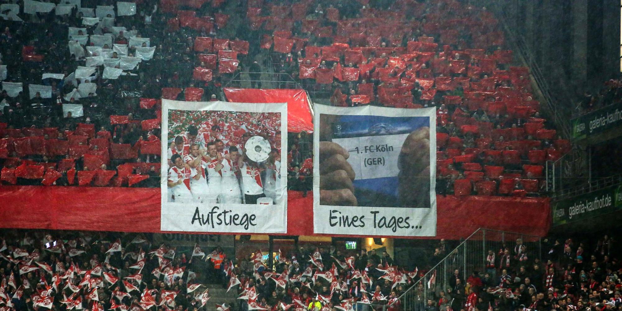 FC-Frankfurt (1)
