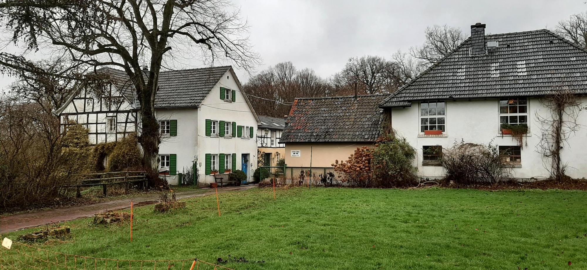Neuer Inhalt