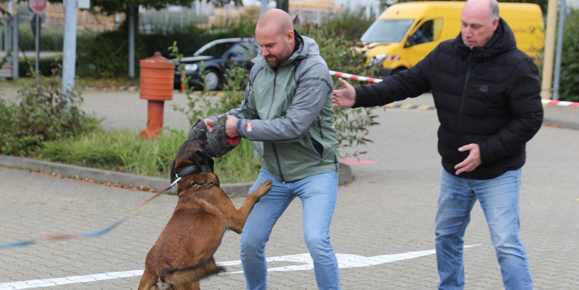 Neuer Inhalt
