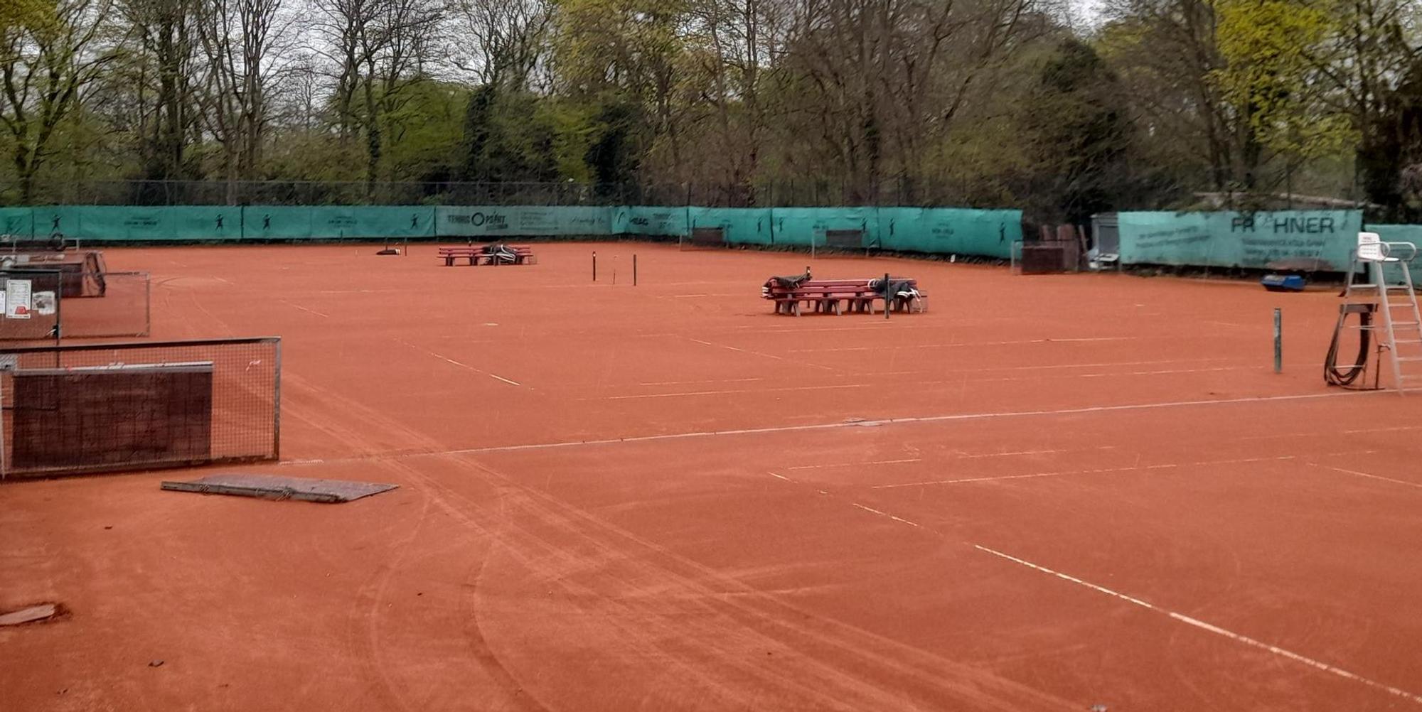 Tennis TK Grün-Gold