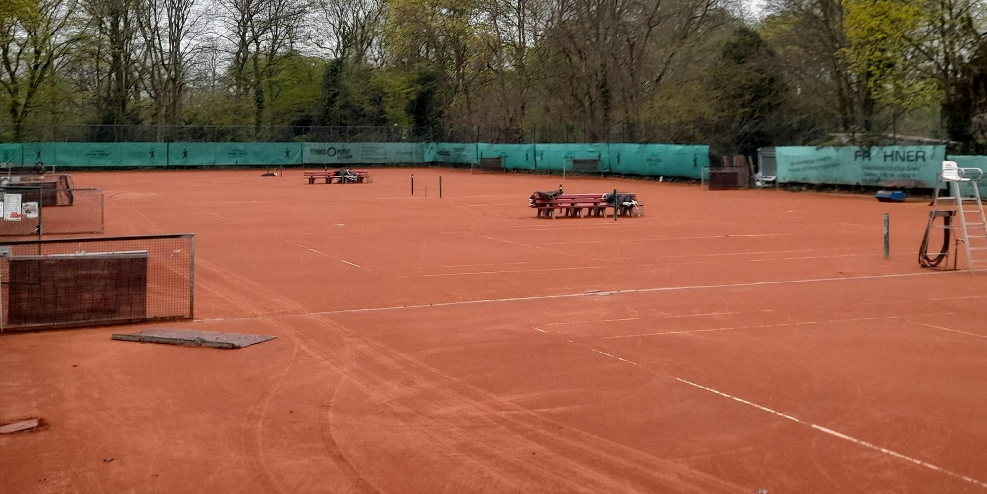 Tennis TK Grün-Gold