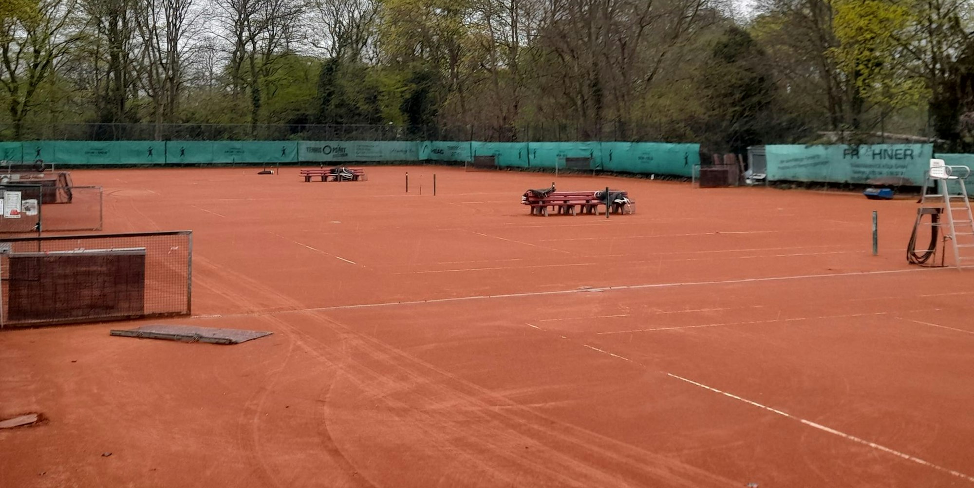 Tennis TK Grün-Gold