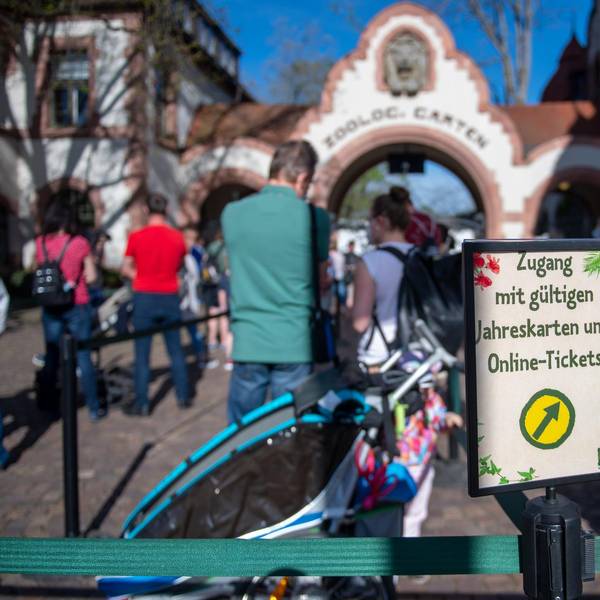 Zoo Eingang