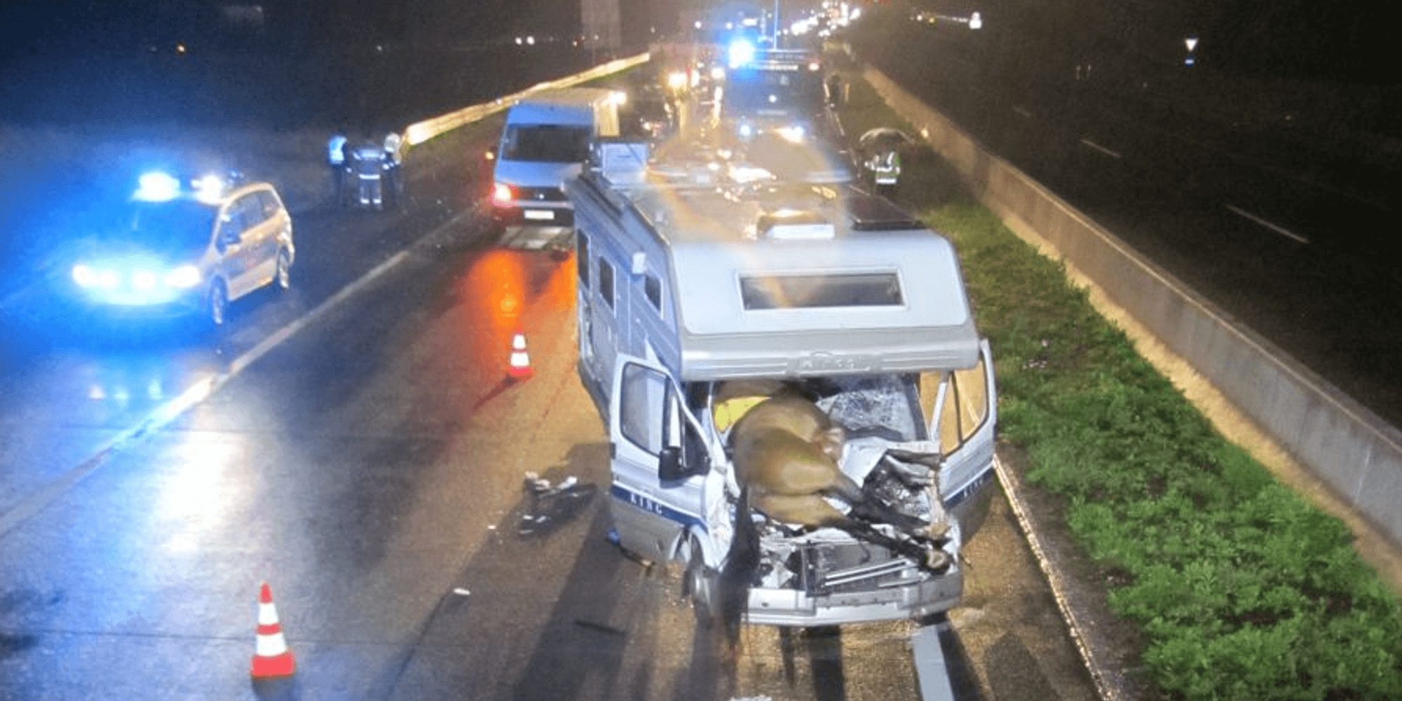 Unfall mit Pferden