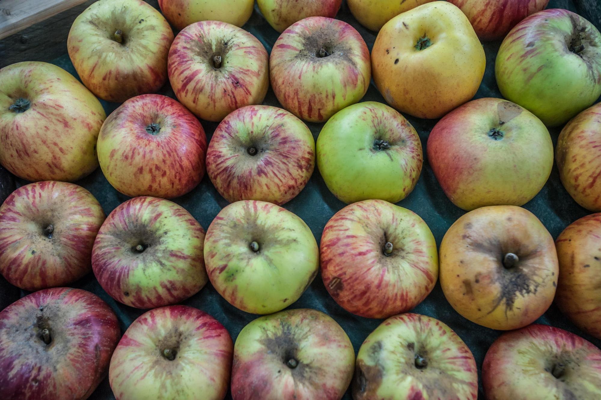 leichlingen-obstmarkt--ALF_7423