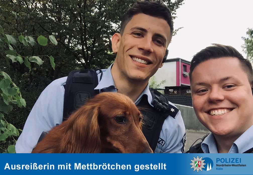 Neuer Inhalt