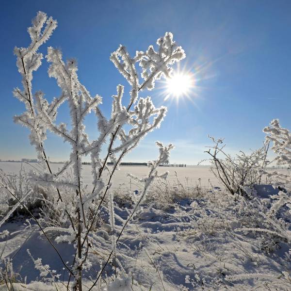 Eis Winter Schnee Kälte