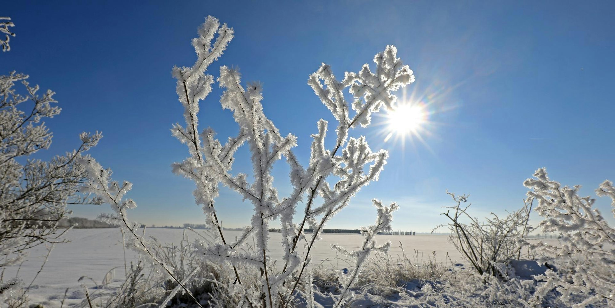 Eis Winter Schnee Kälte