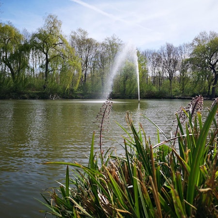 RätselwanderungWesseling9