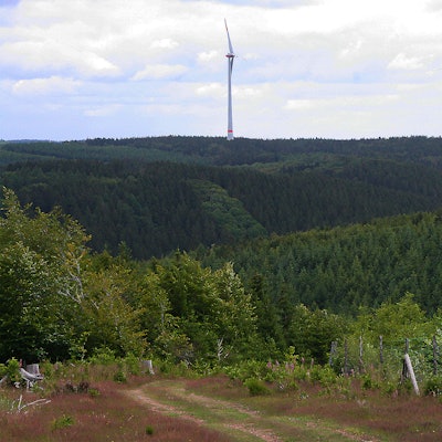 Windpark Dahlem IV und V_002