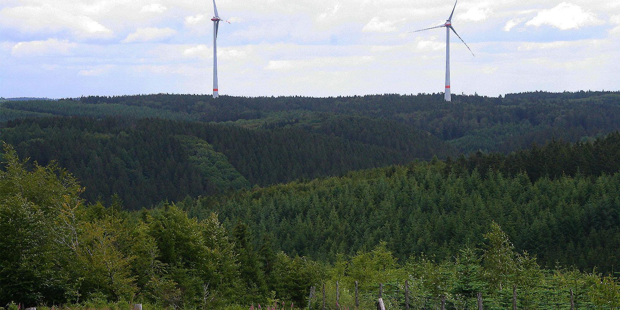 Windpark Dahlem IV und V_002