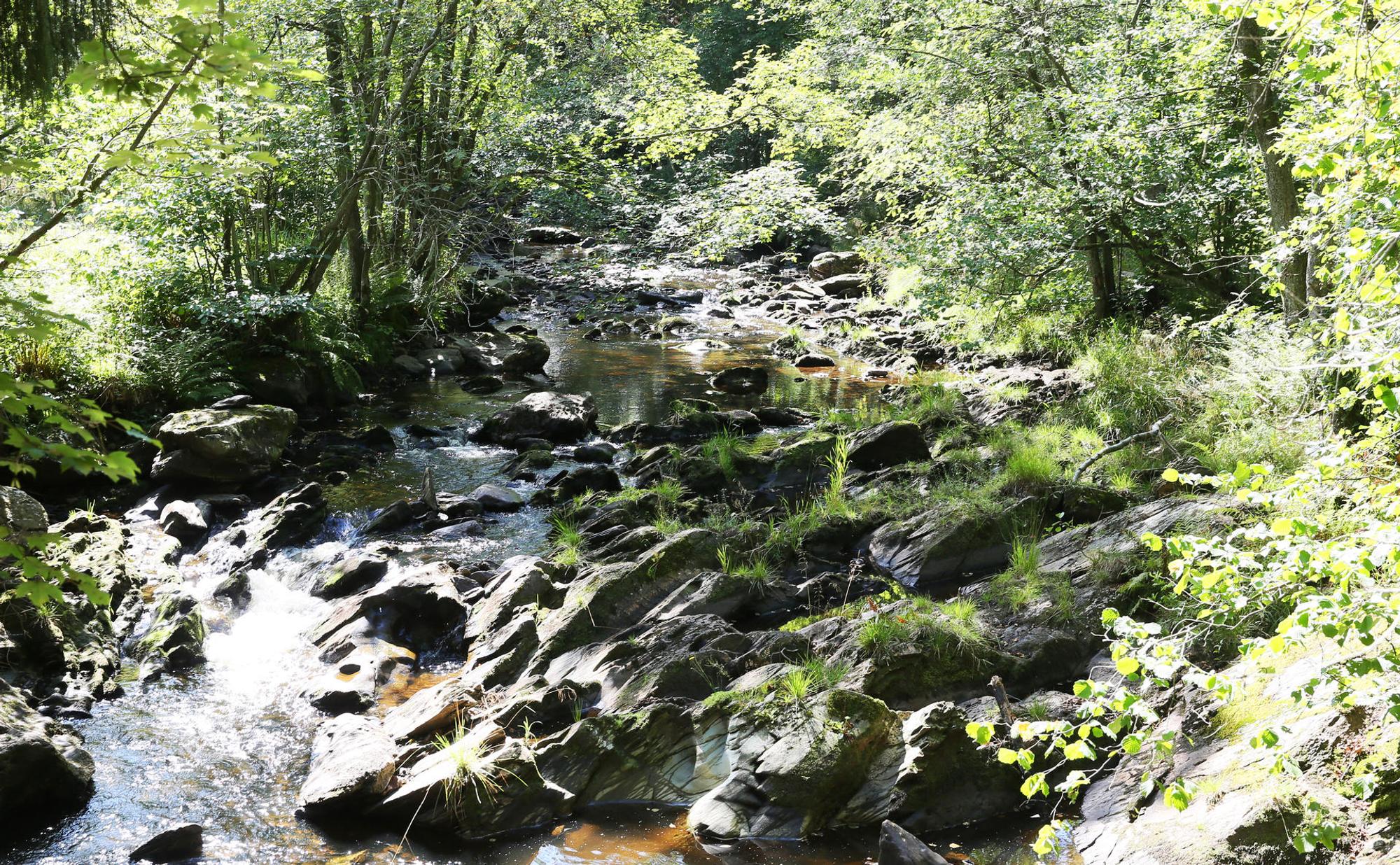 04092019_WanderungJosten_48