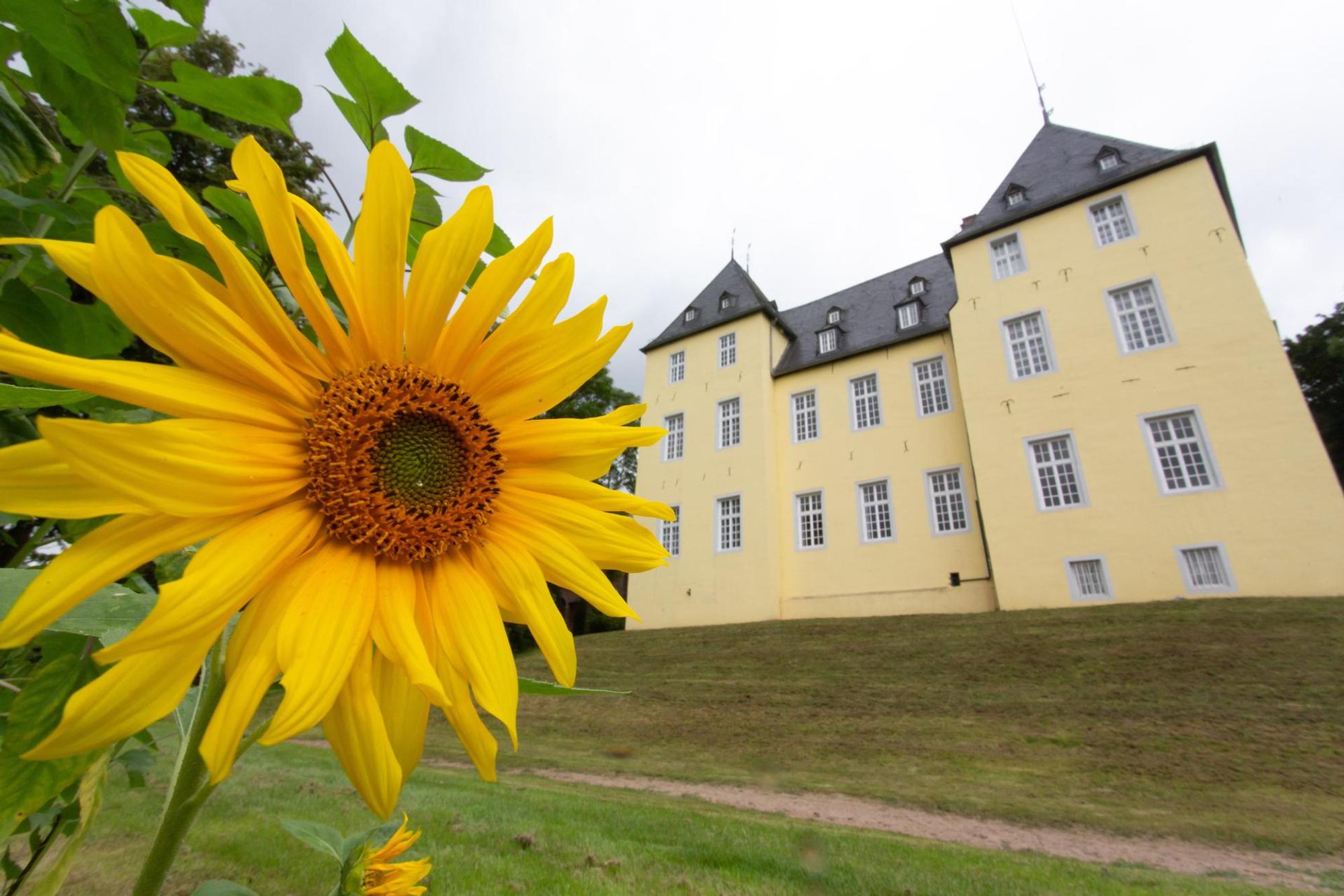 Alfterer Schloss