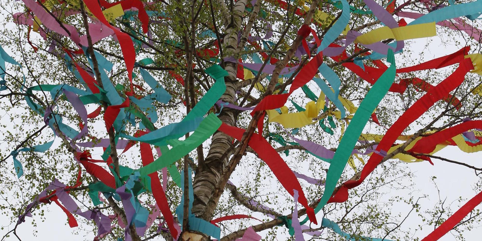Maibaum Quentin Bröhl