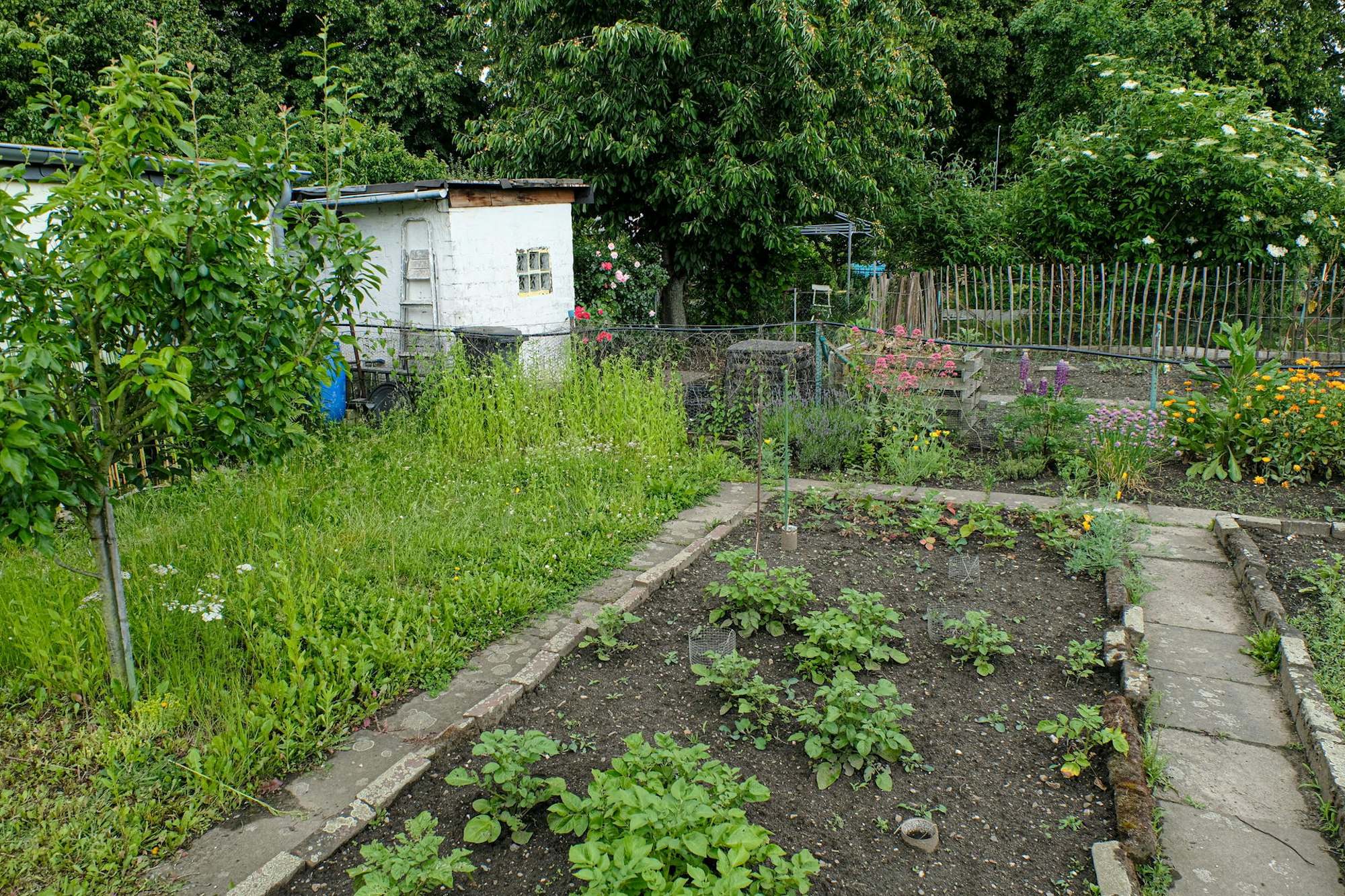 20190606_Schrebergaerten_HGM_03
