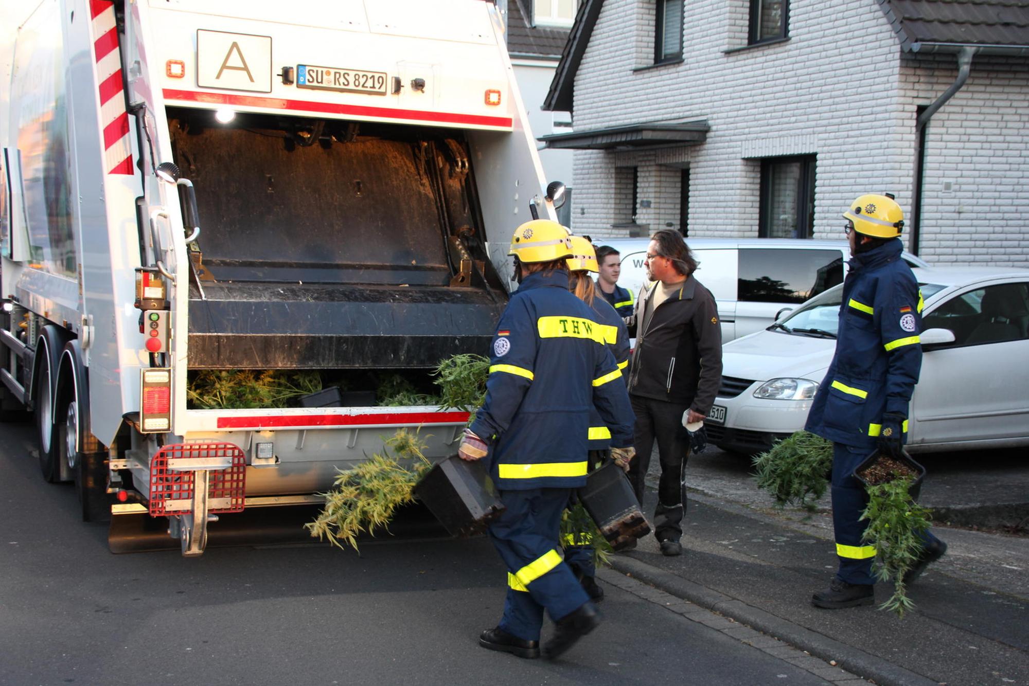 Cannabis_Niederkassel (1)
