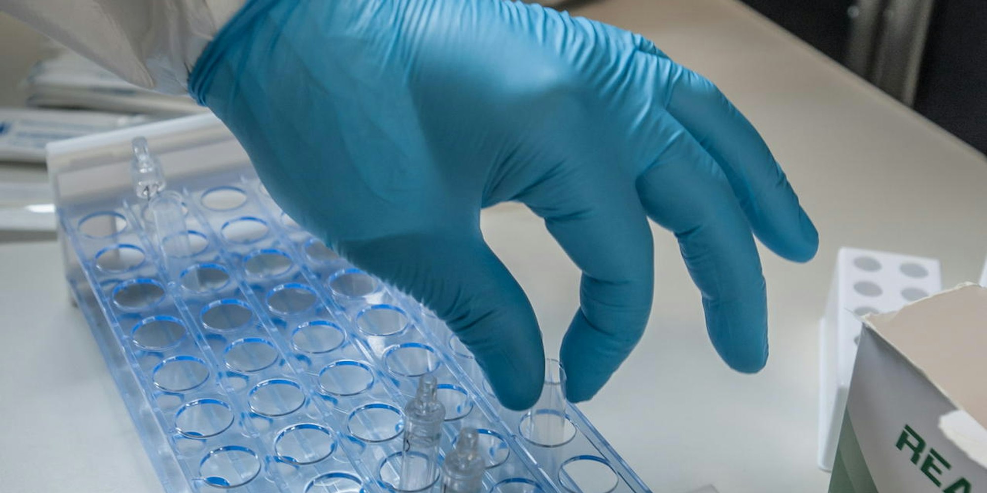 tests-buescherhof-leichlingen22032021ALF_9107