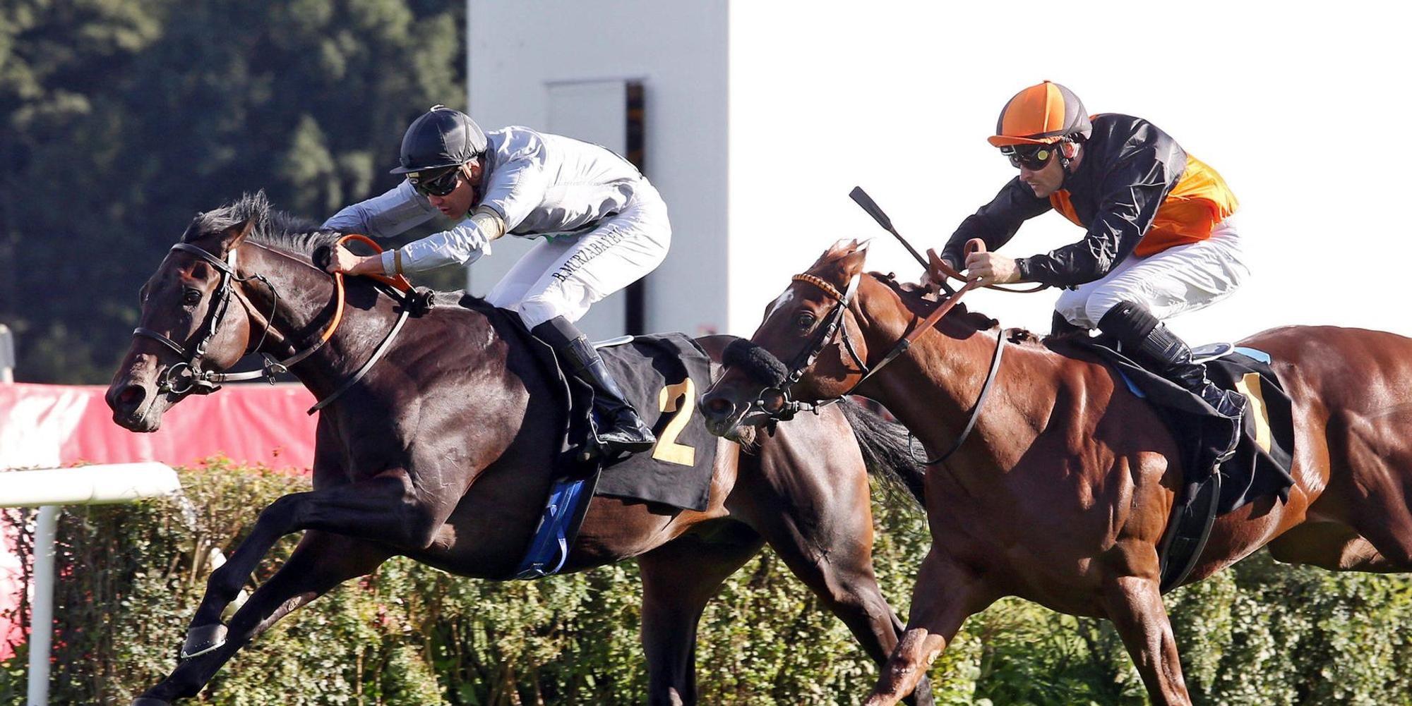 Arcandi mit Jockey