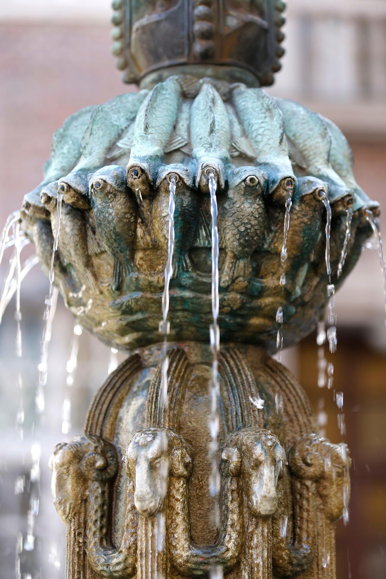 20190624_tb_Brunnen_012