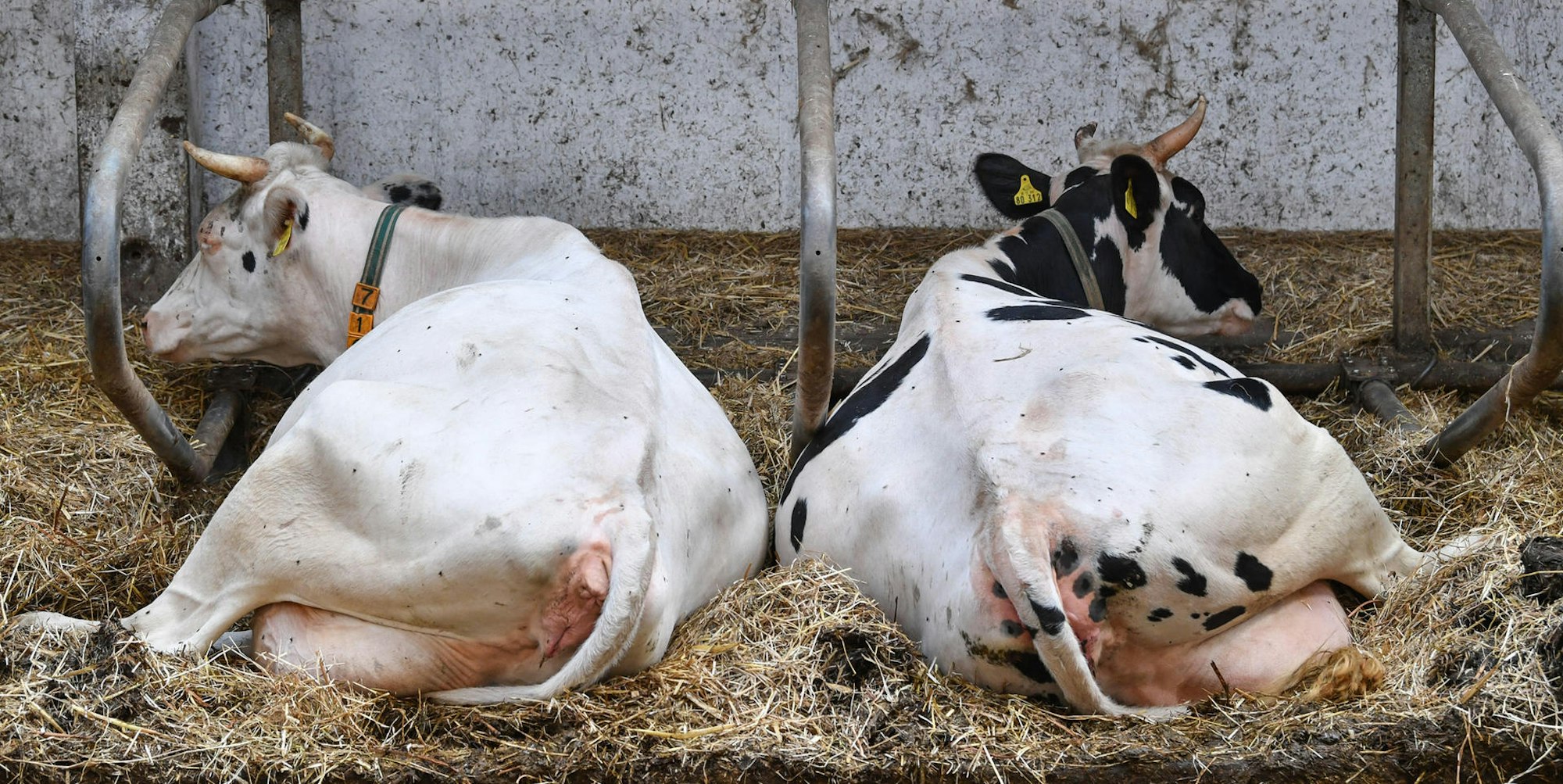 Neuer Inhalt