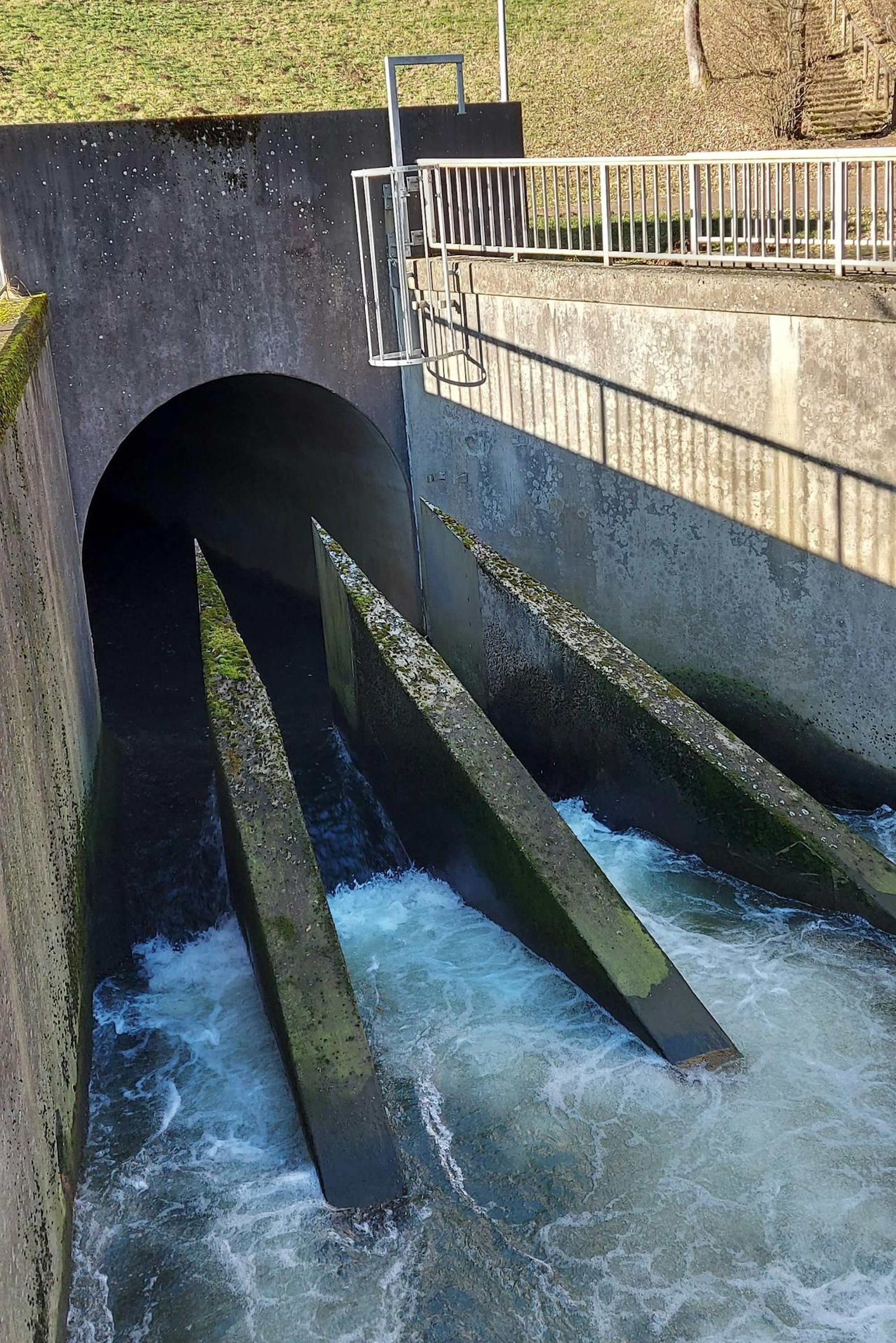 Tosbecken Kronenburger See