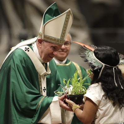 Papst Franziskus dpa 271019