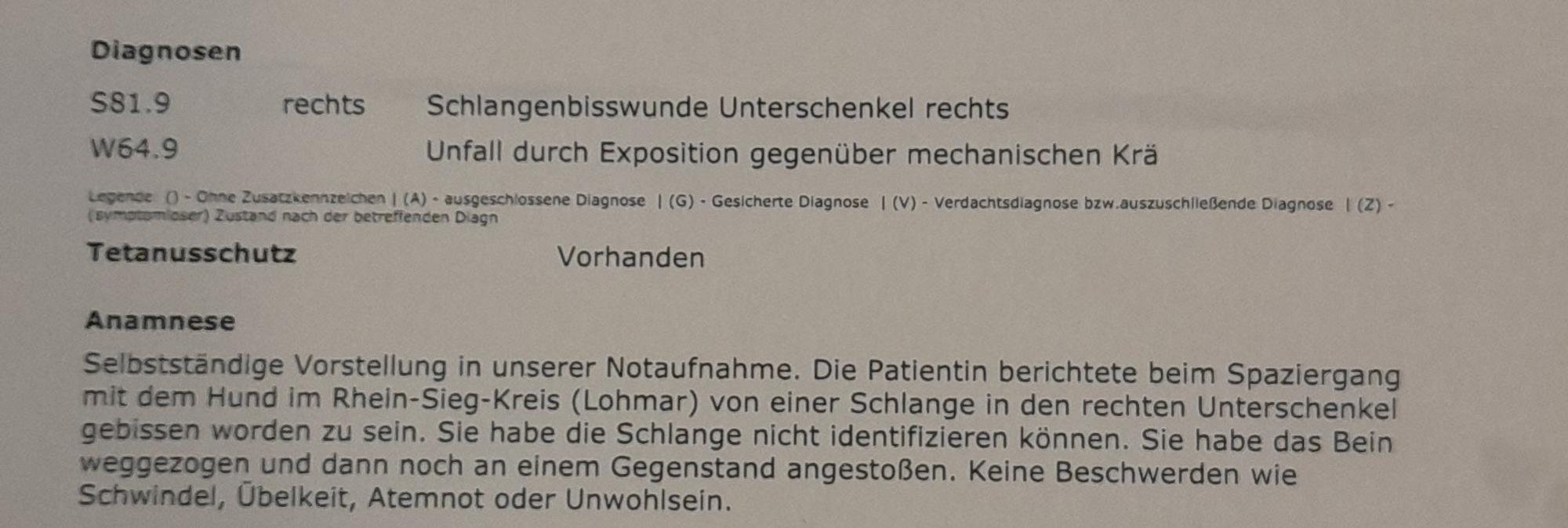 Neuer Inhalt (1)