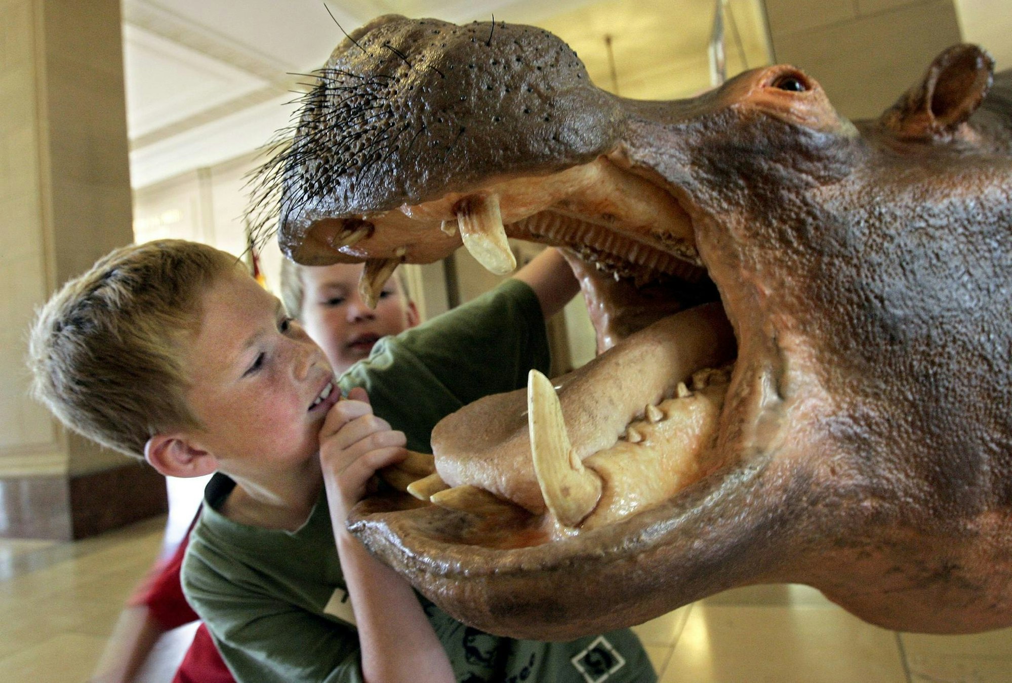 Museum König dpa